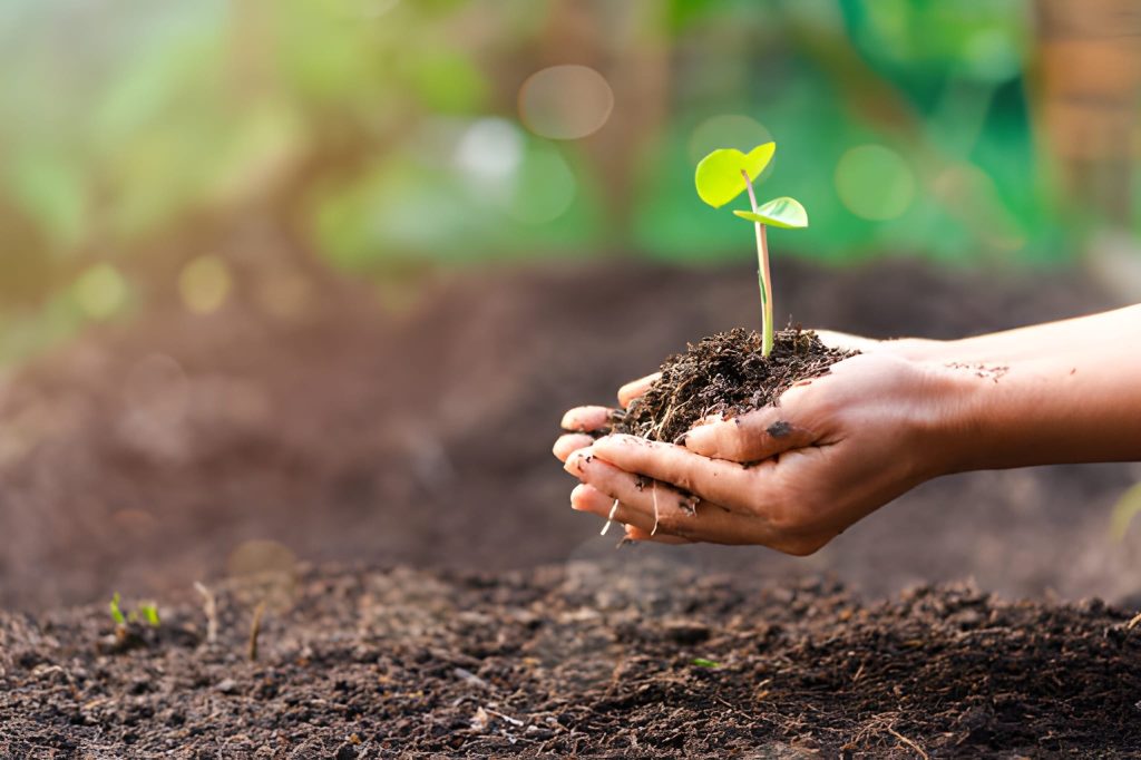 Biodiversity & Wildlife Conservation