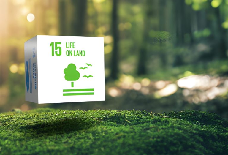 Eco-Tourism & Green Certification Advisory